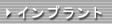 �C���v�����g